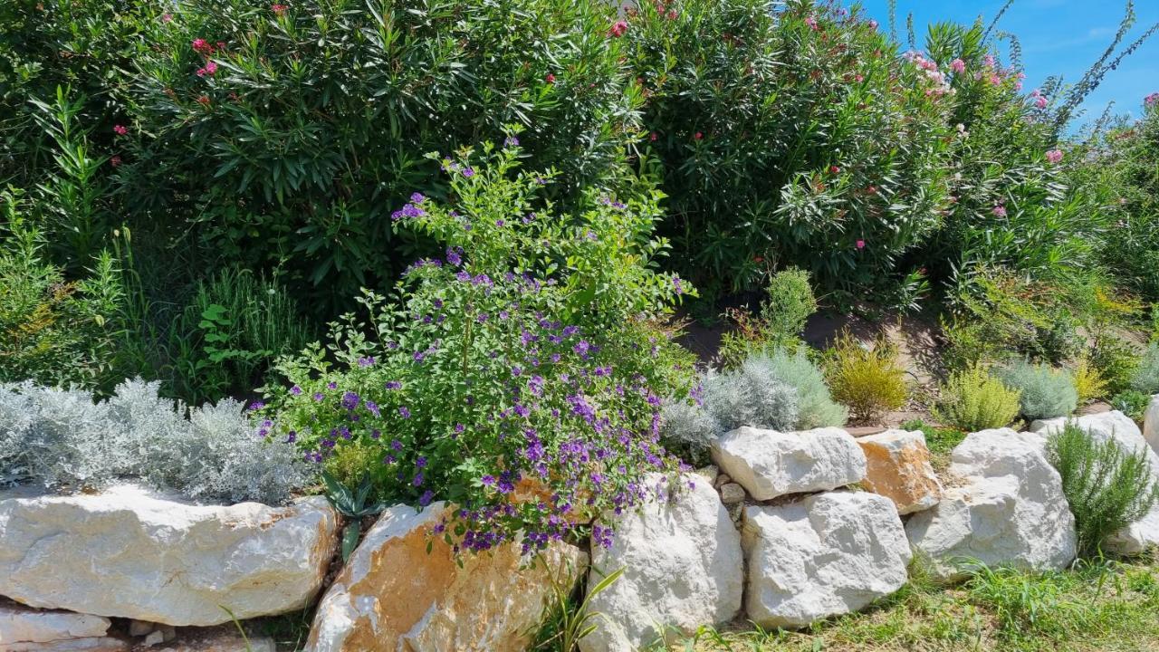Antica Dimora Dei Gelsi Acomodação com café da manhã Manerba del Garda Exterior foto